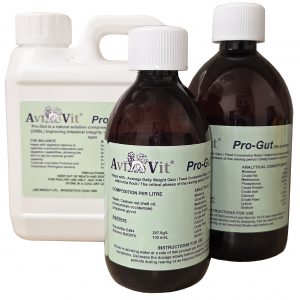 Avivit Pro-Gut